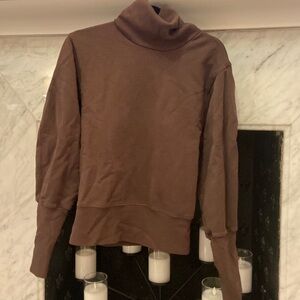 Women’s brown AGOLDE sweatshirt turtleneck. Size small
